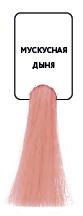 картинка AFCL Стойкая крем-краска Baco Soft, Мускусная дыня, 60 мл от официального интернет-магазина Каарал