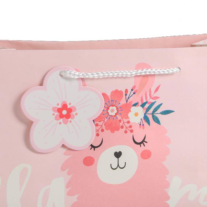 картинка Пакет подарочный Lama 27 х 23 х 11,5 см от официального интернет-магазина Каарал