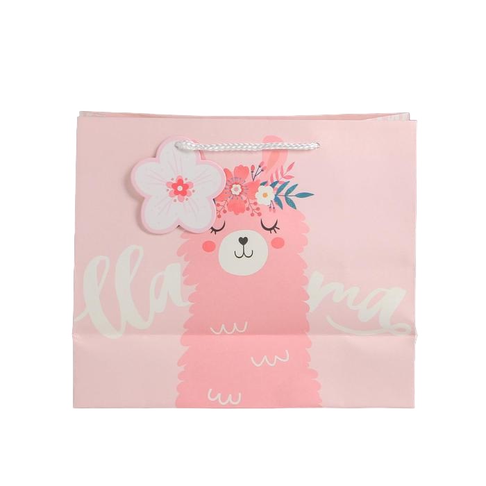 картинка Пакет подарочный Lama 27 х 23 х 11,5 см от официального интернет-магазина Каарал