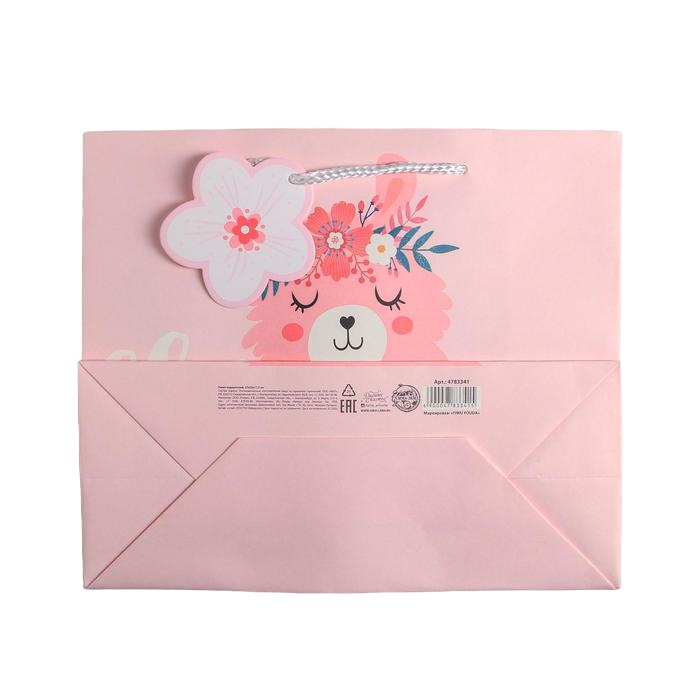 картинка Пакет подарочный Lama 27 х 23 х 11,5 см от официального интернет-магазина Каарал